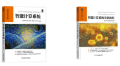 及跨条理的软硬件协同设想